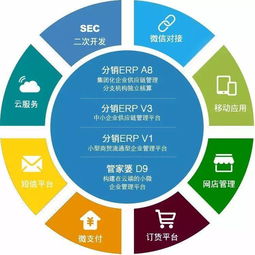 管家婆天通產品全系列詳解 企業數字化轉型的基石——基礎軟件服務